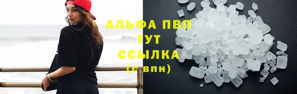 эйфоретик Беломорск