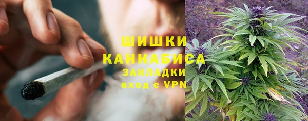 дурь Белокуриха