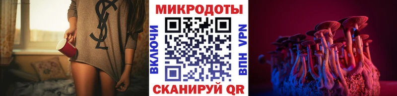 ОМГ ОМГ как зайти  Галич  Псилоцибиновые грибы мицелий 